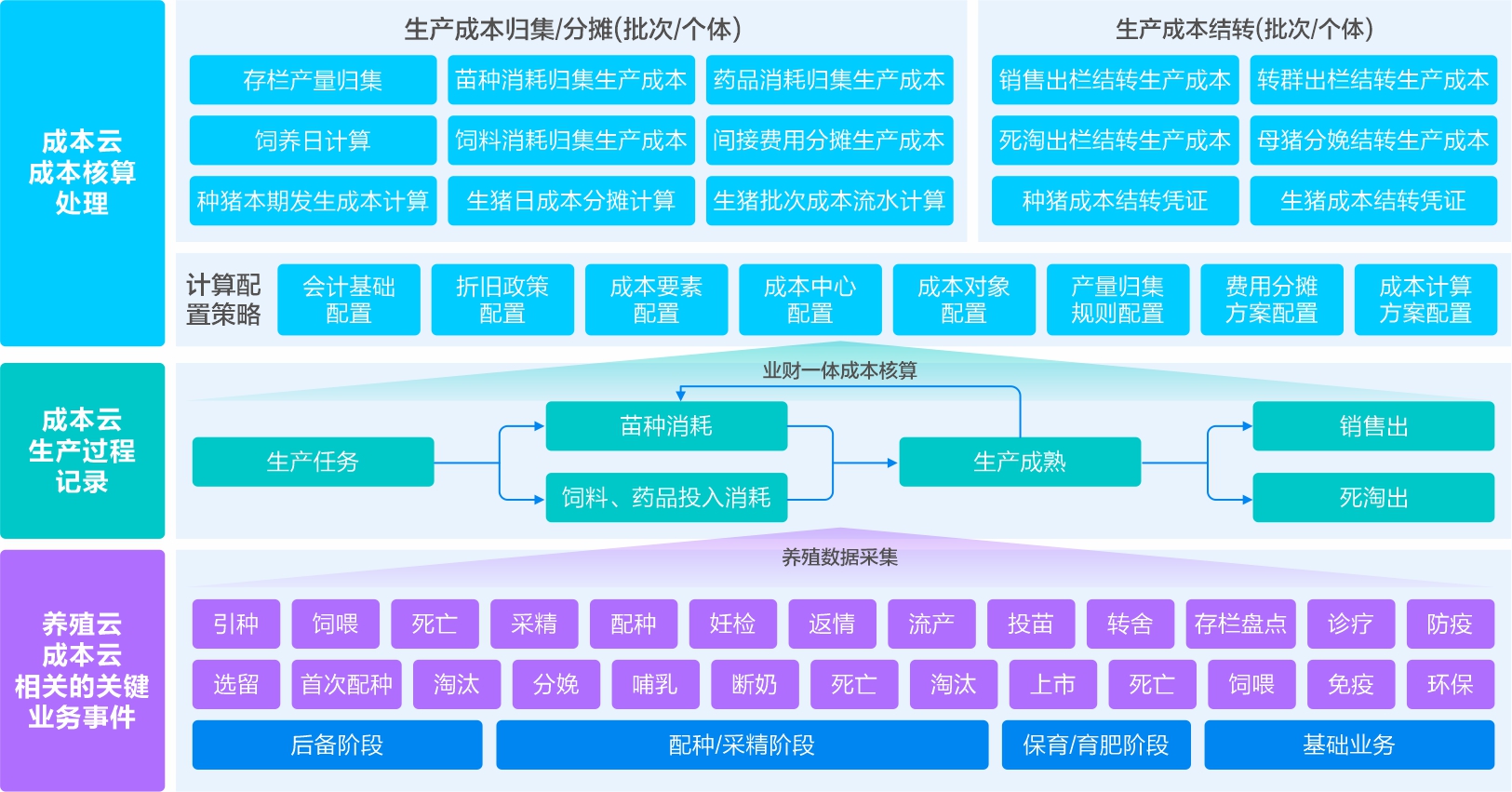 成本领先